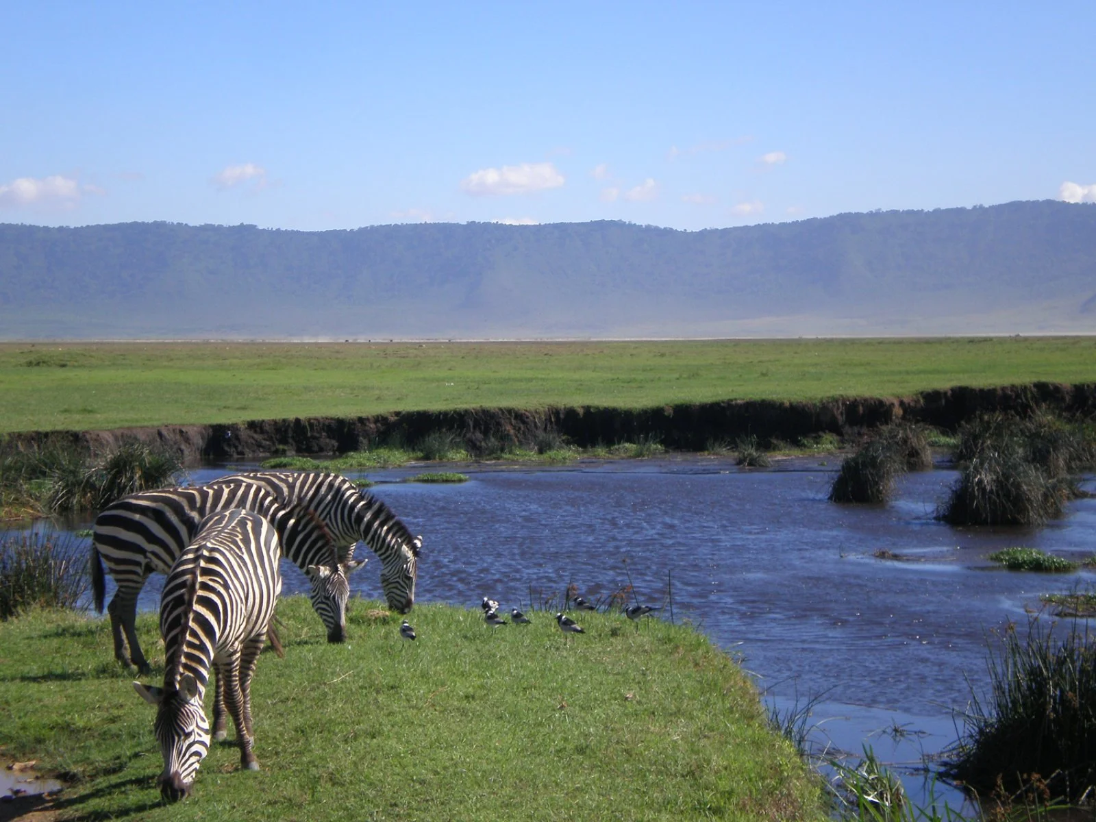 Safari Tanzania Emotion 