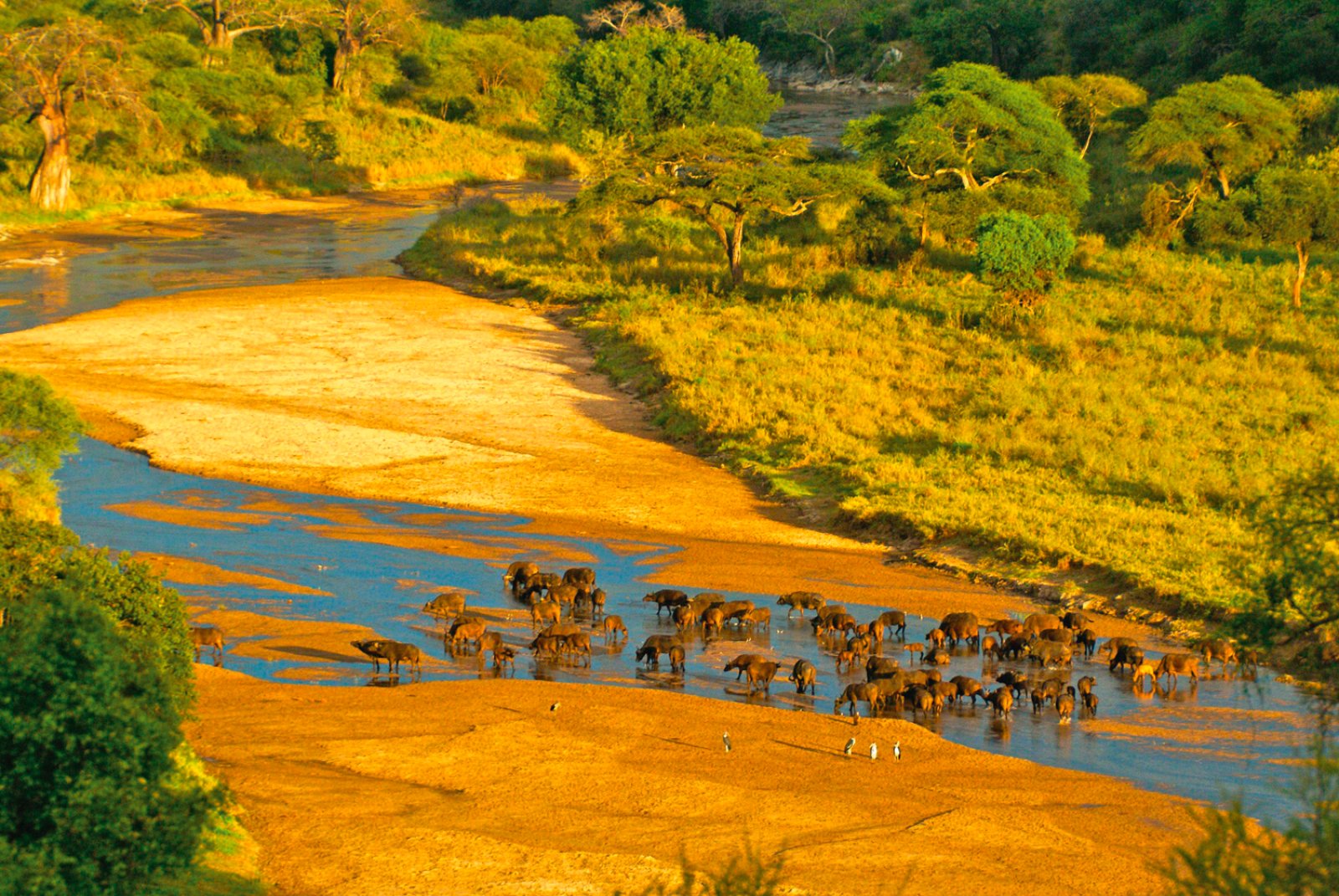 Safari Intour Tanzania Horizons 