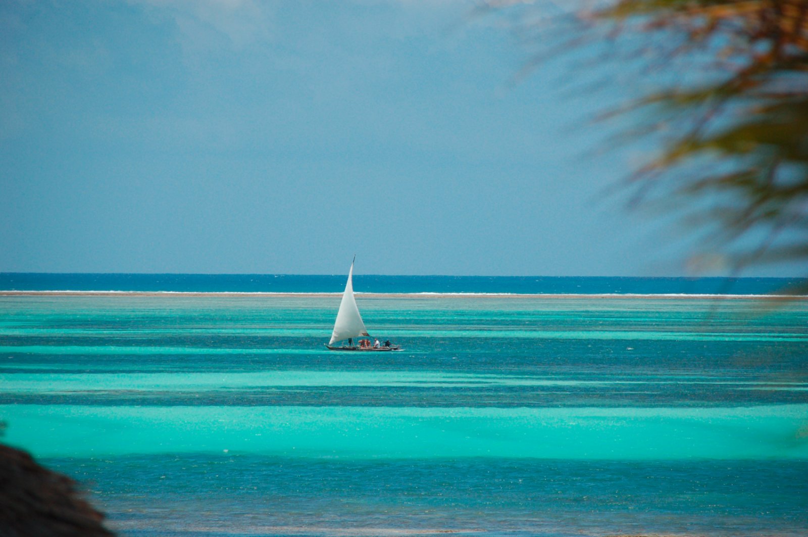 Safari Intour Tanzania E Mare 