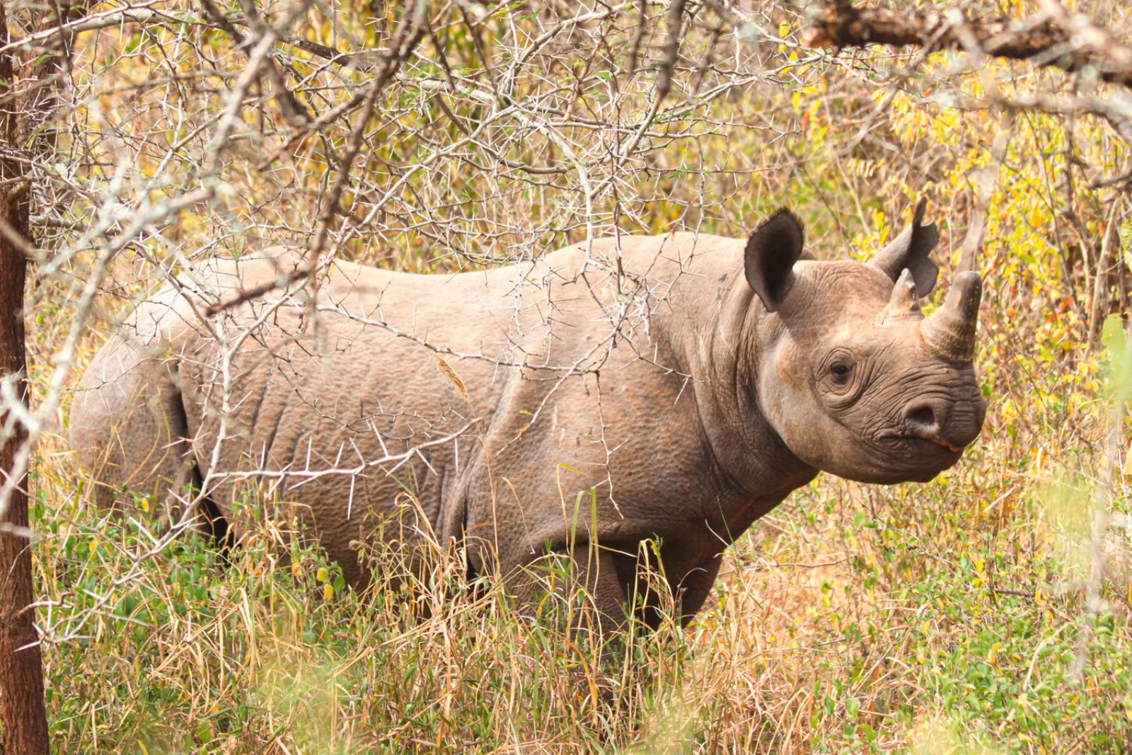 Tour Tsavo Est & Taita Hills 