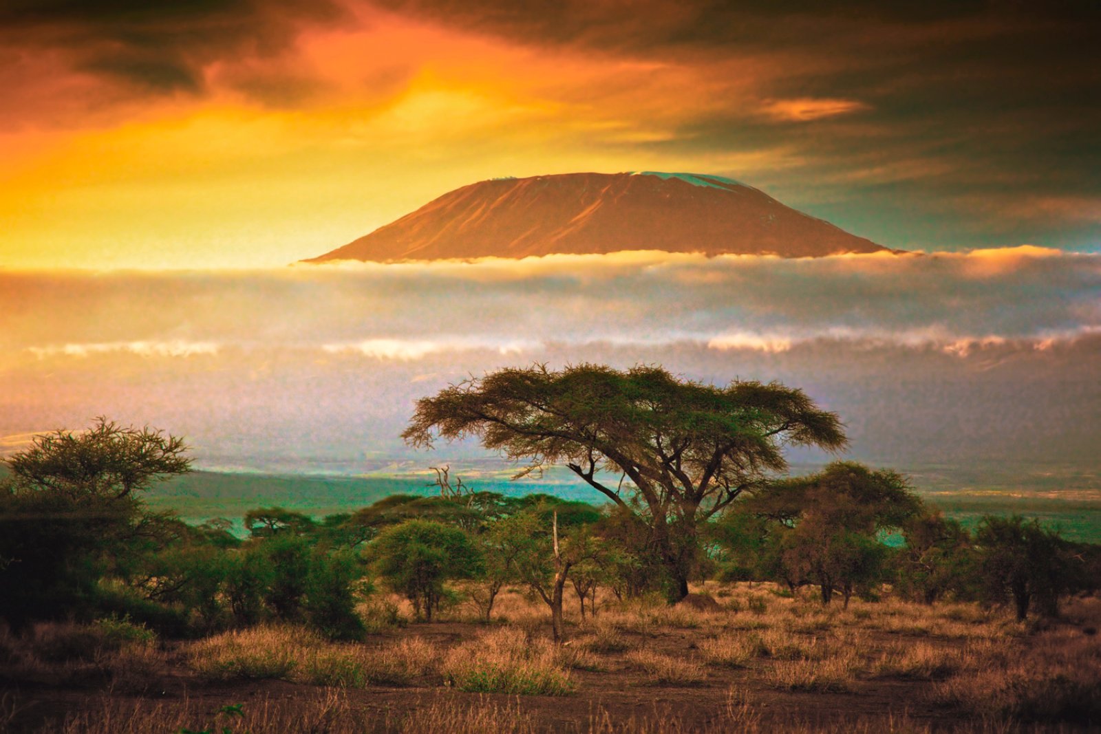 Safari Intour Amboseli Special & Tsavo Ovest - Amboseli National Park
