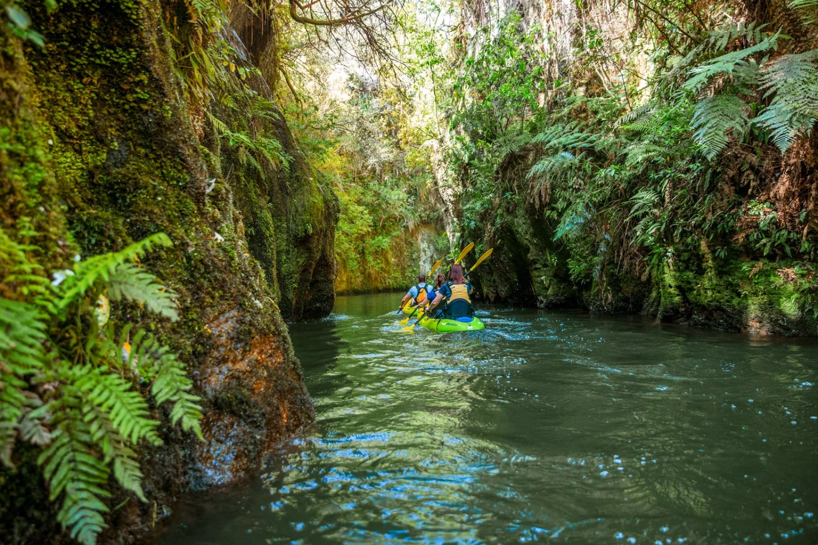 Voyager Maori 