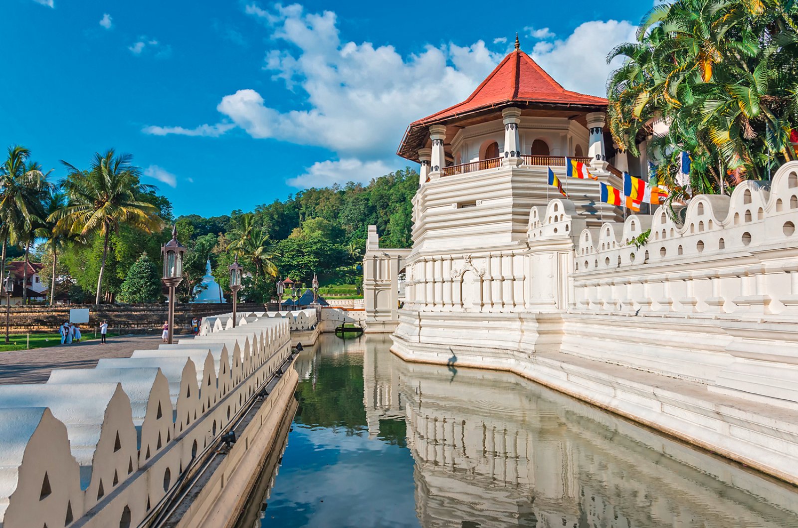 Kandy E Pinnawela - Kandy