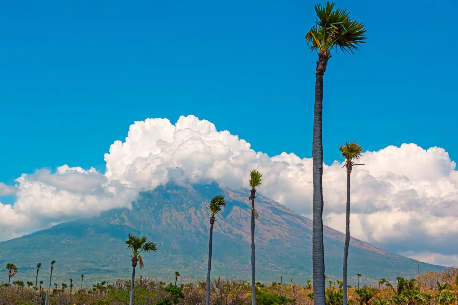 Voyager Bali E Lombok Reloaded E Mare 