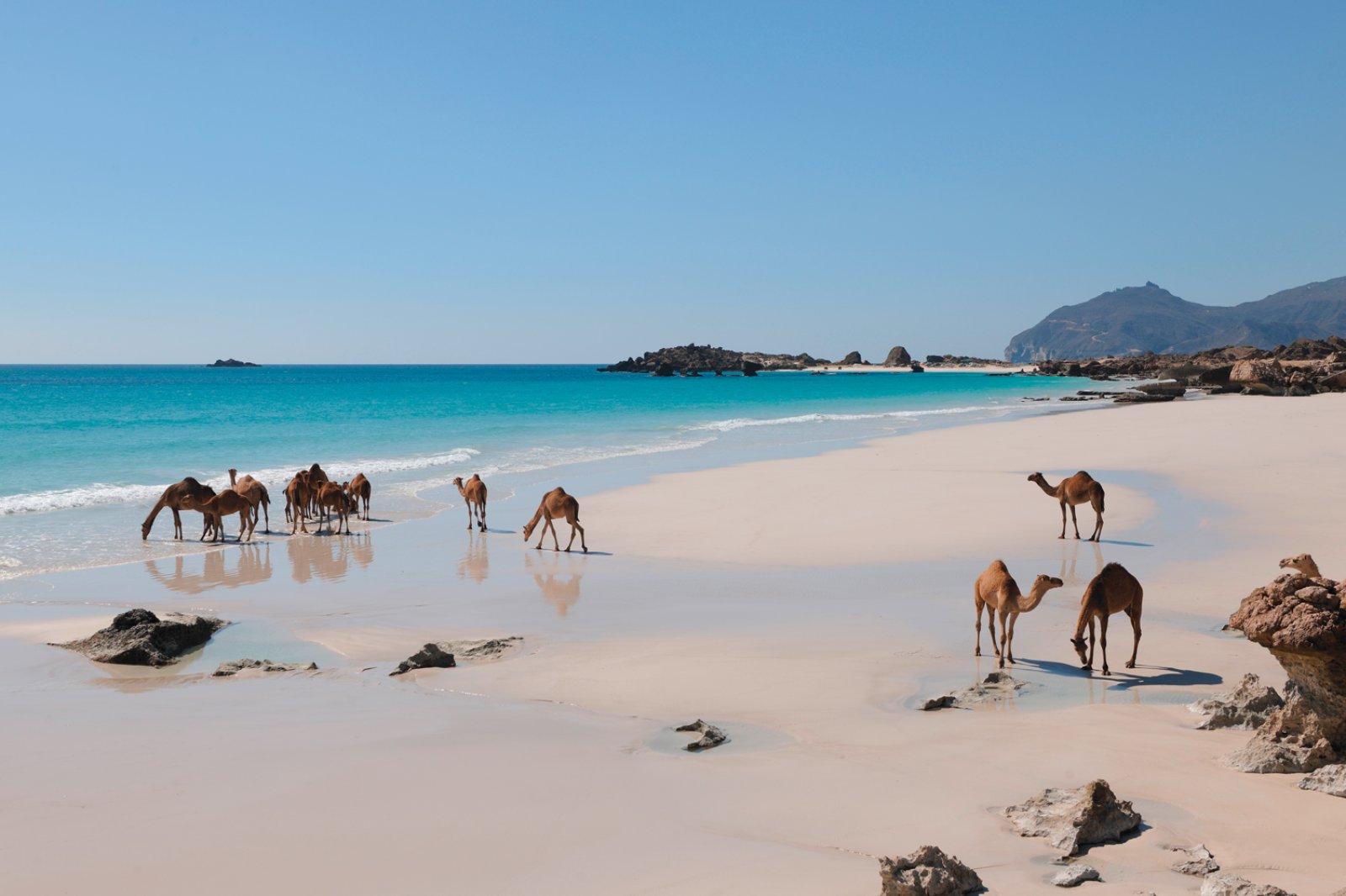 Intour Oman Tra Storia E Spiagge 