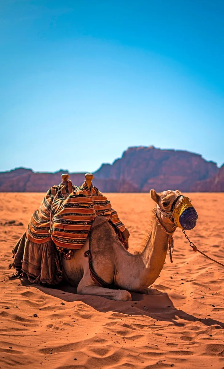 Petra - Piccola Petra - Wadi Rum