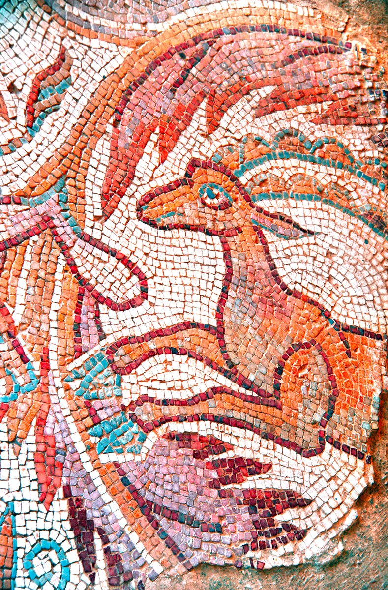 Lawrence - Madaba, Antichi Mosaici Bizantini