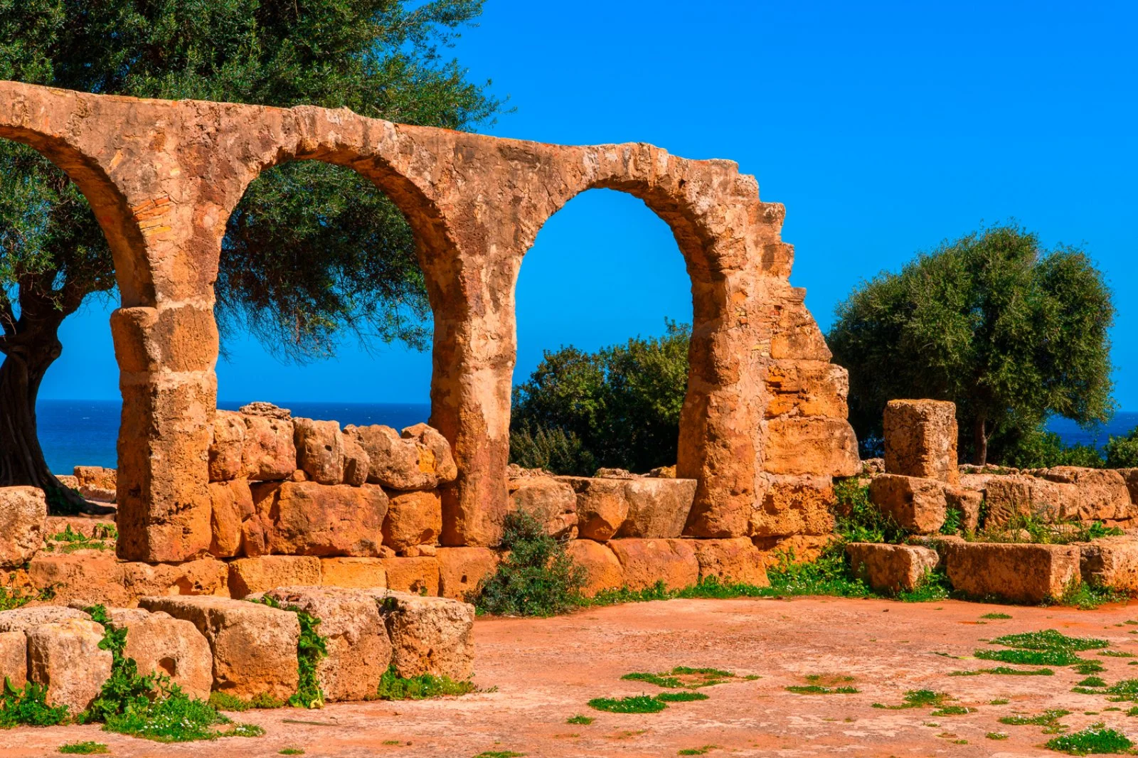 Basilica cristiana - Tipasa