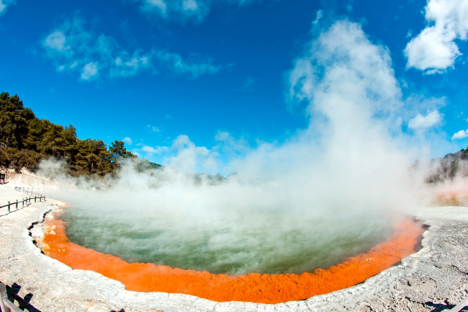 Nuova Zelanda Completa - Rotorua