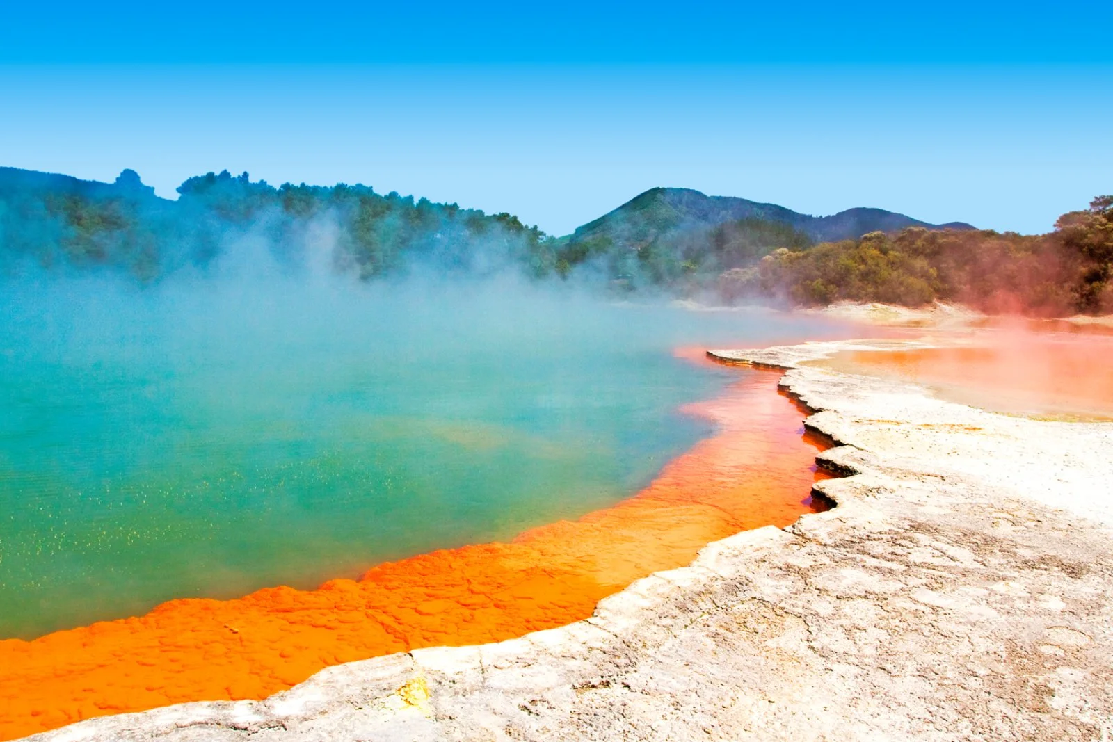 Icone Della Nuova Zelanda - Rotorua