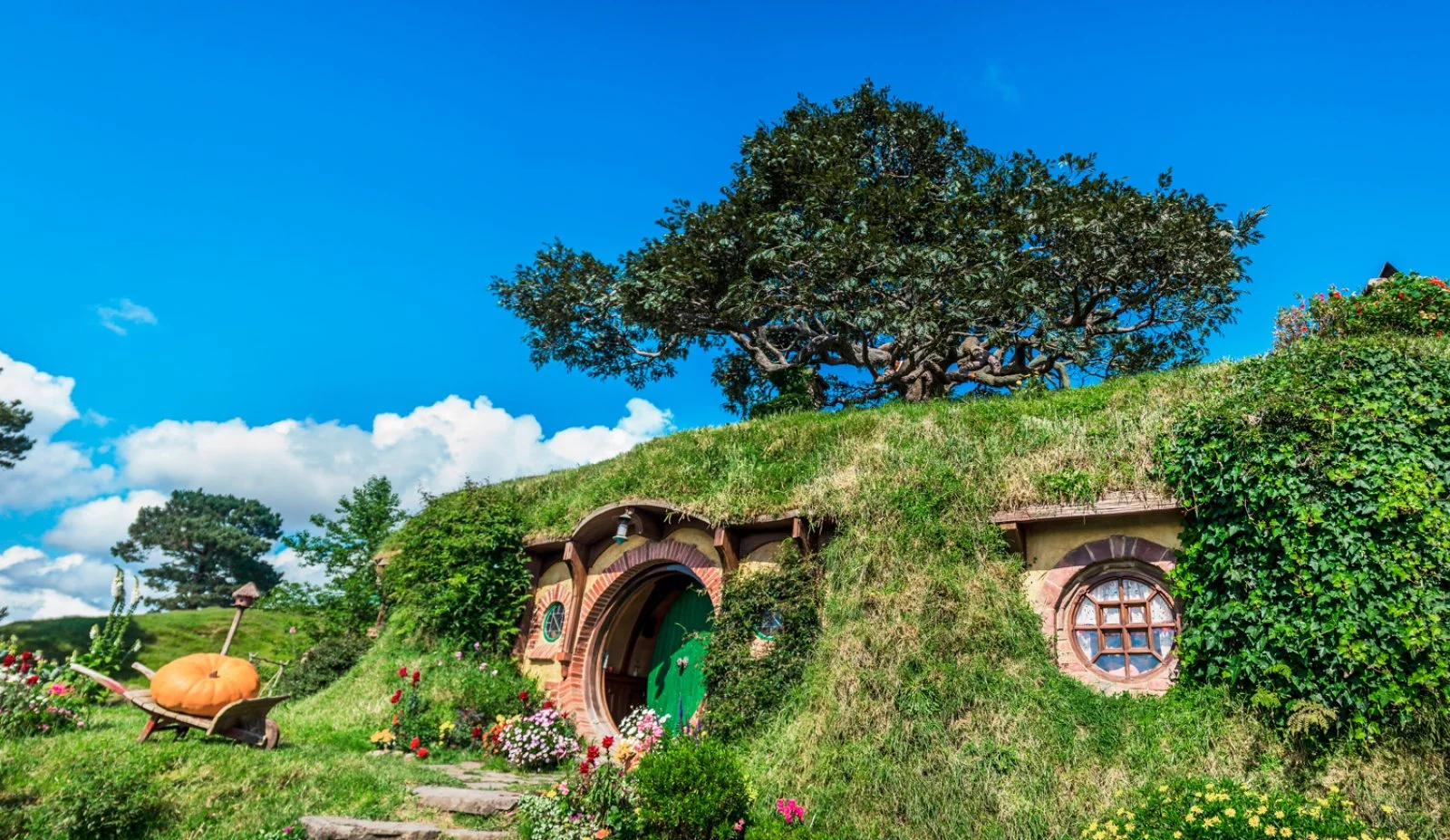 Hobbit Town