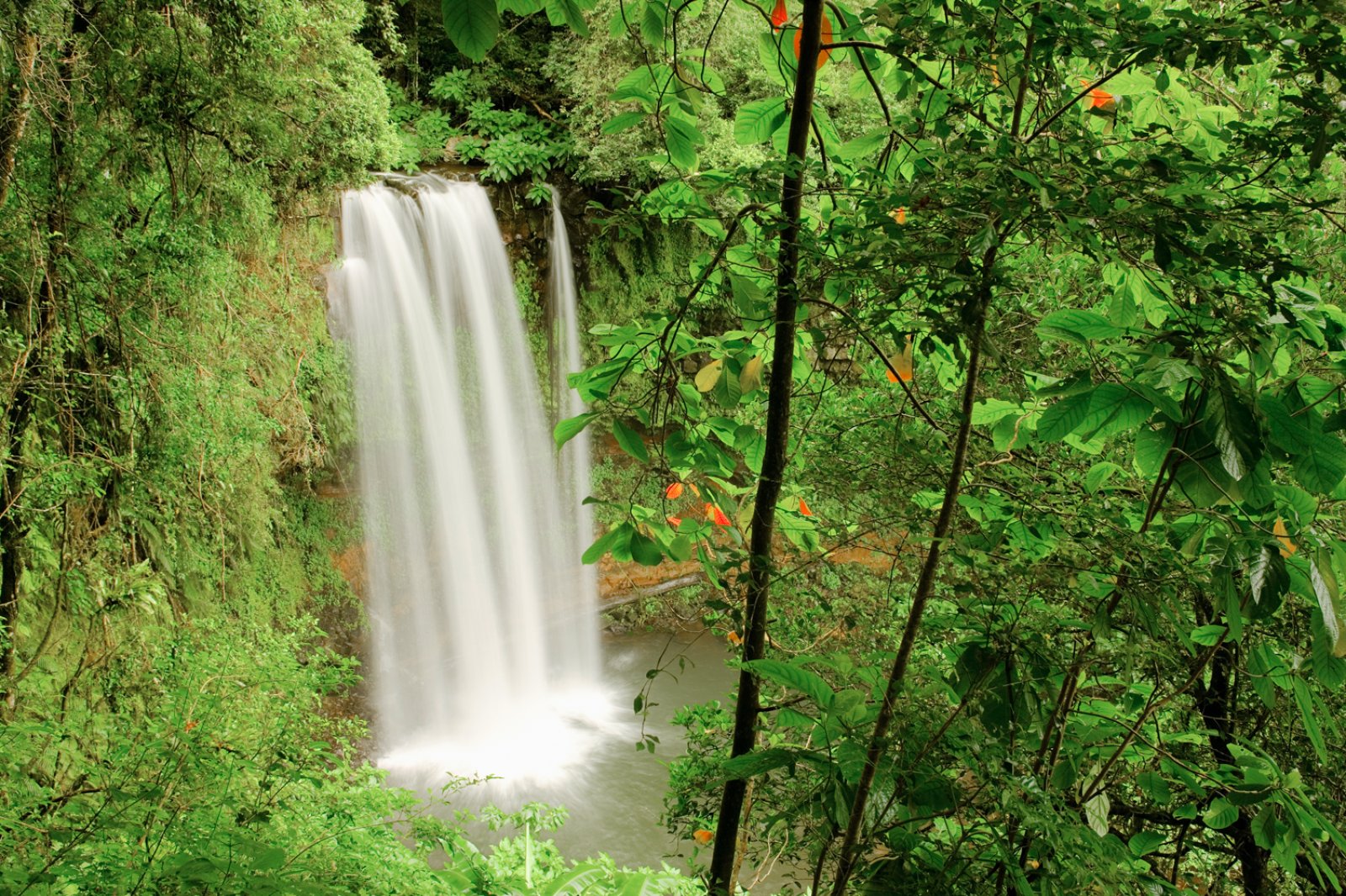 Tour Avaratra E Mare Domenica - Madagascar, Montagne D'Ambre