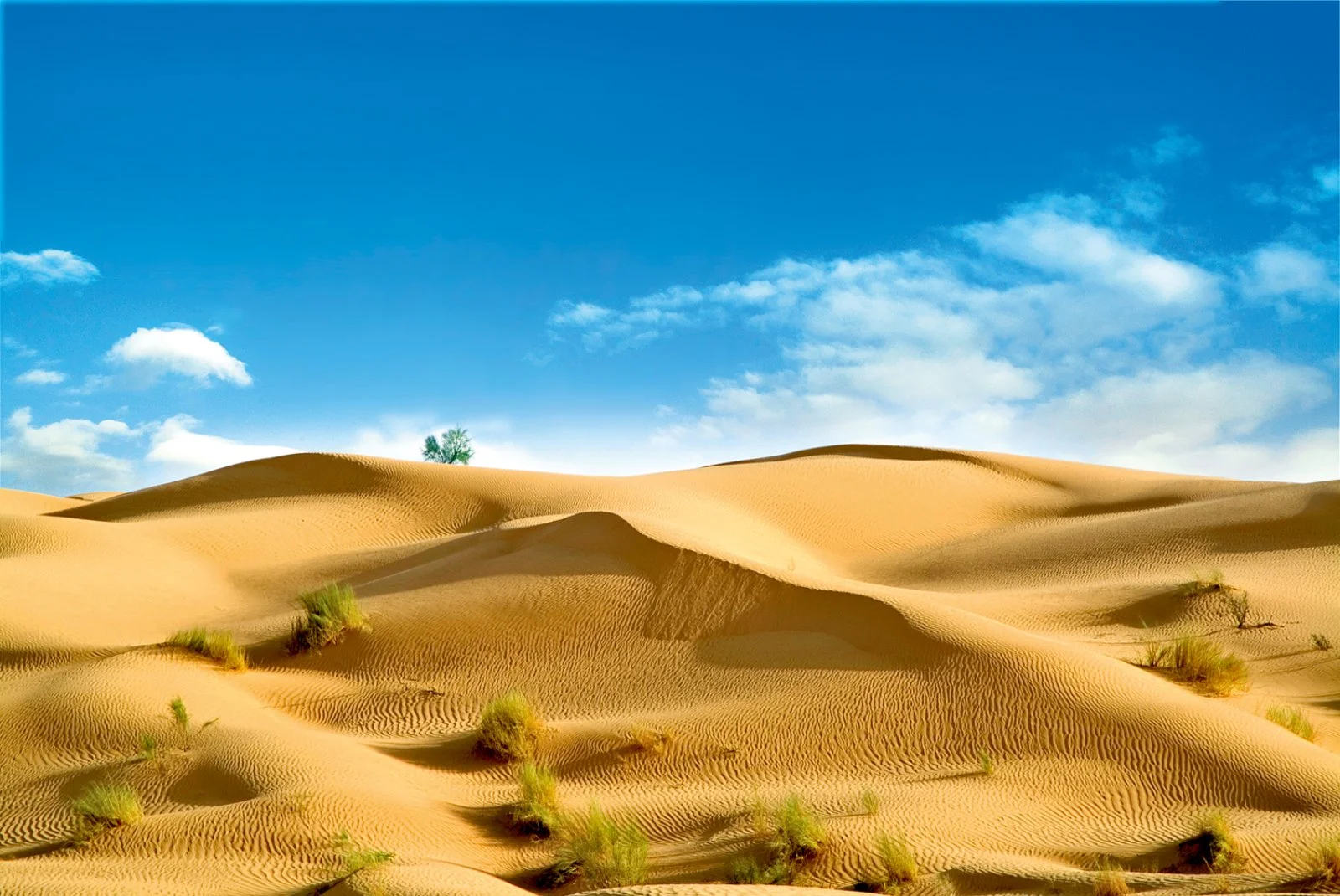 Tataouine - Douiret - Chenini - Dune Sahara