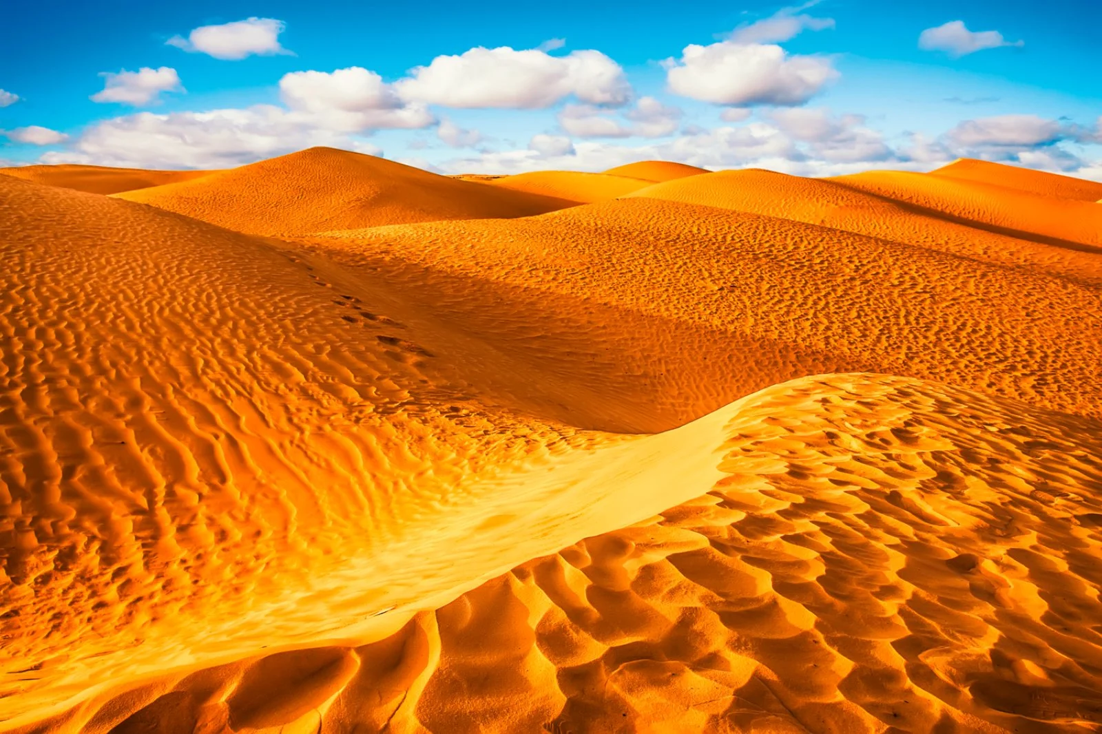 Dune del Sahara - Douz