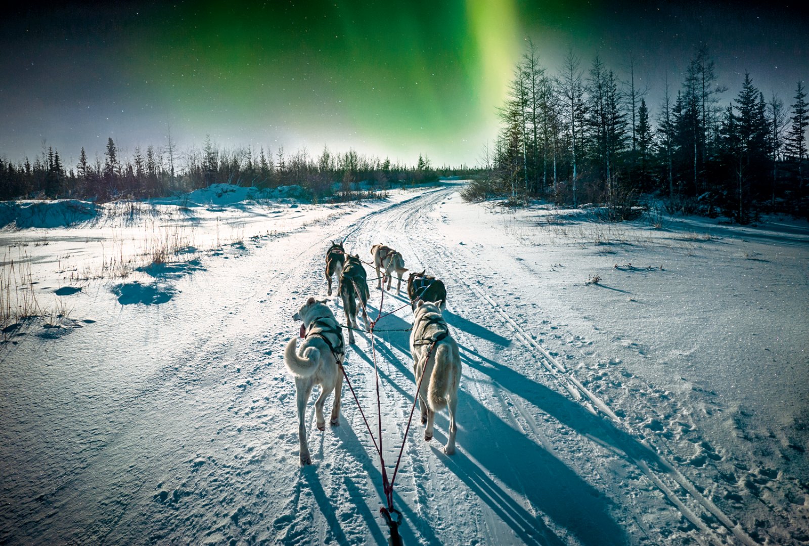 Rovaniemi City Break - Canada