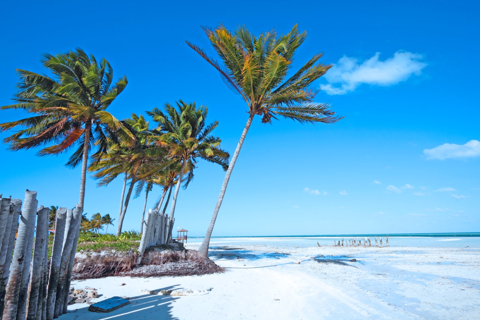 Avana E Cayo S. Maria - Cayo Santa Maria