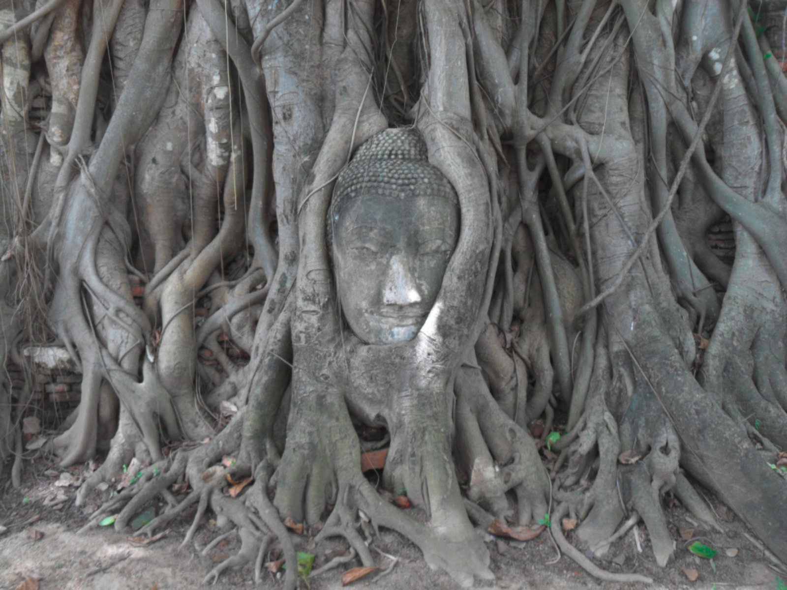 Voyager Siam E Cambogia - Ayutthaya