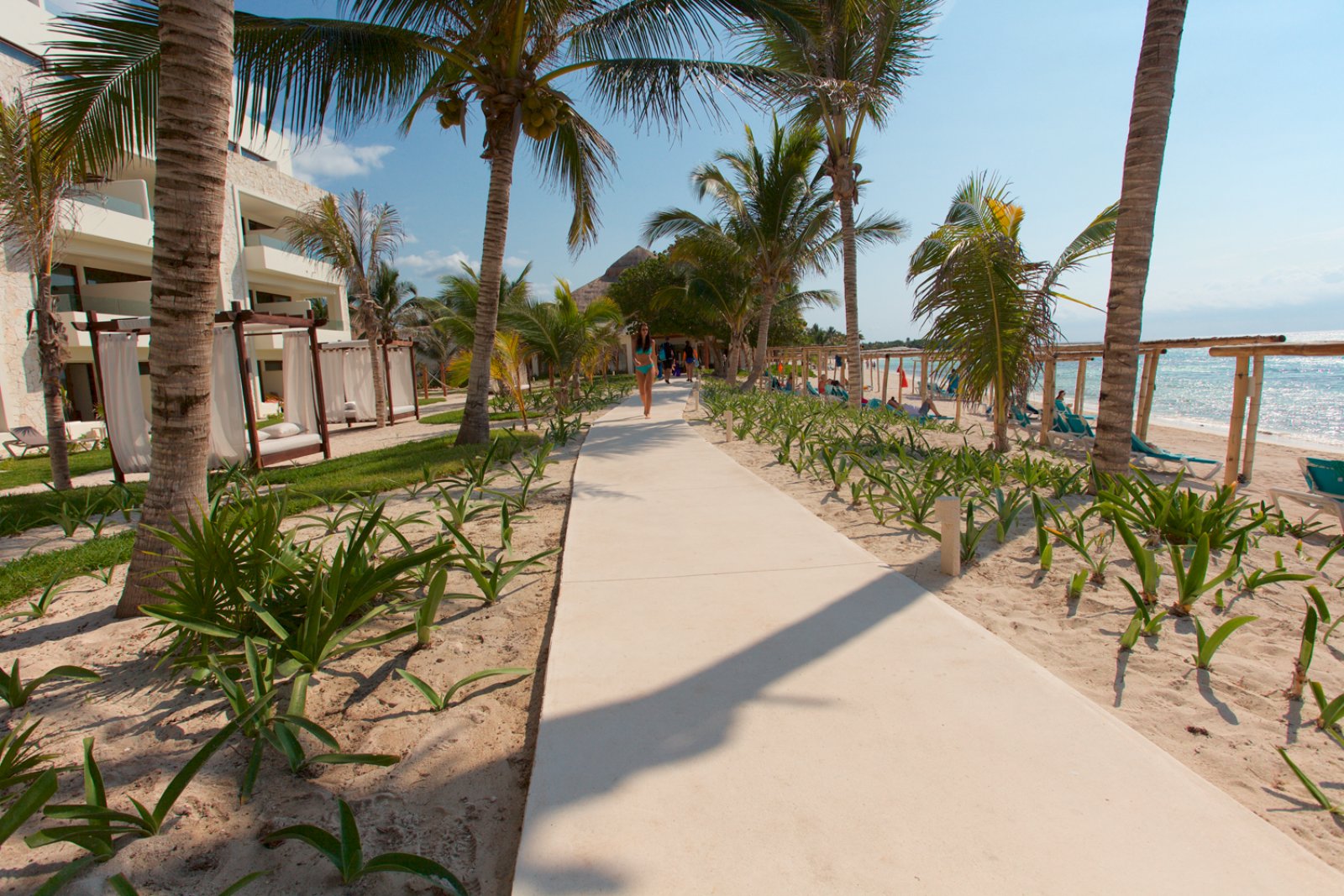 Akumal Bay Beach & Wellness Resort 