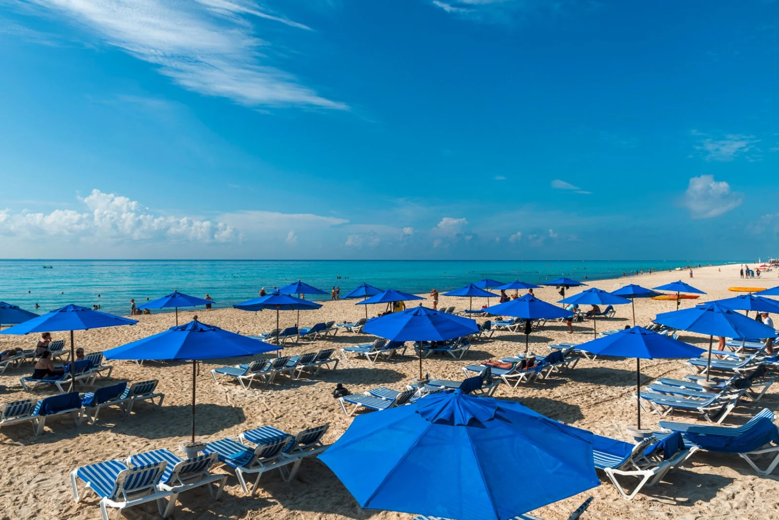 The Reef Playacar 
