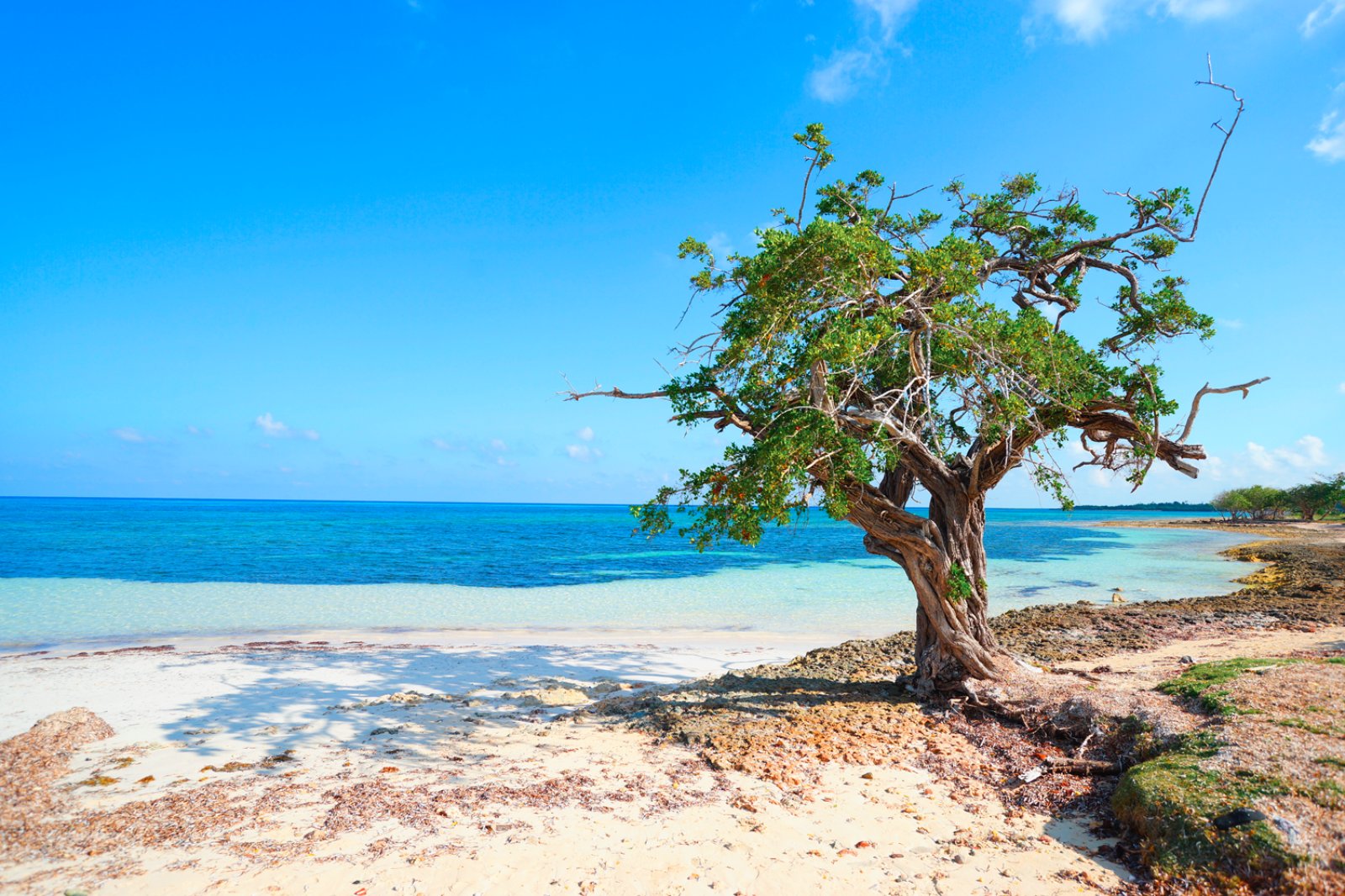 Case Private A Holguin - Playa Guardalavaca, Holguin