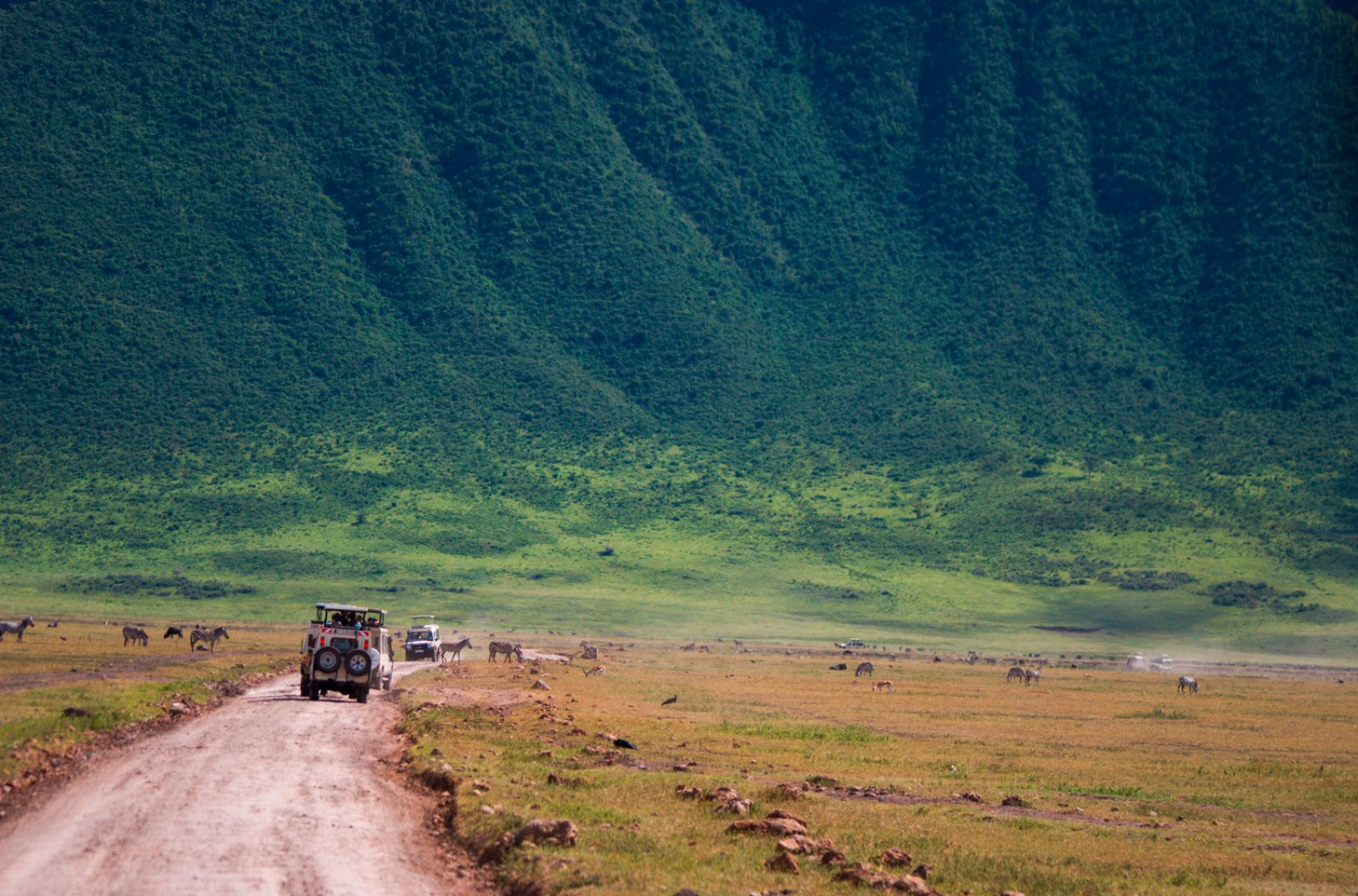 Tour Safari Asante Sana 