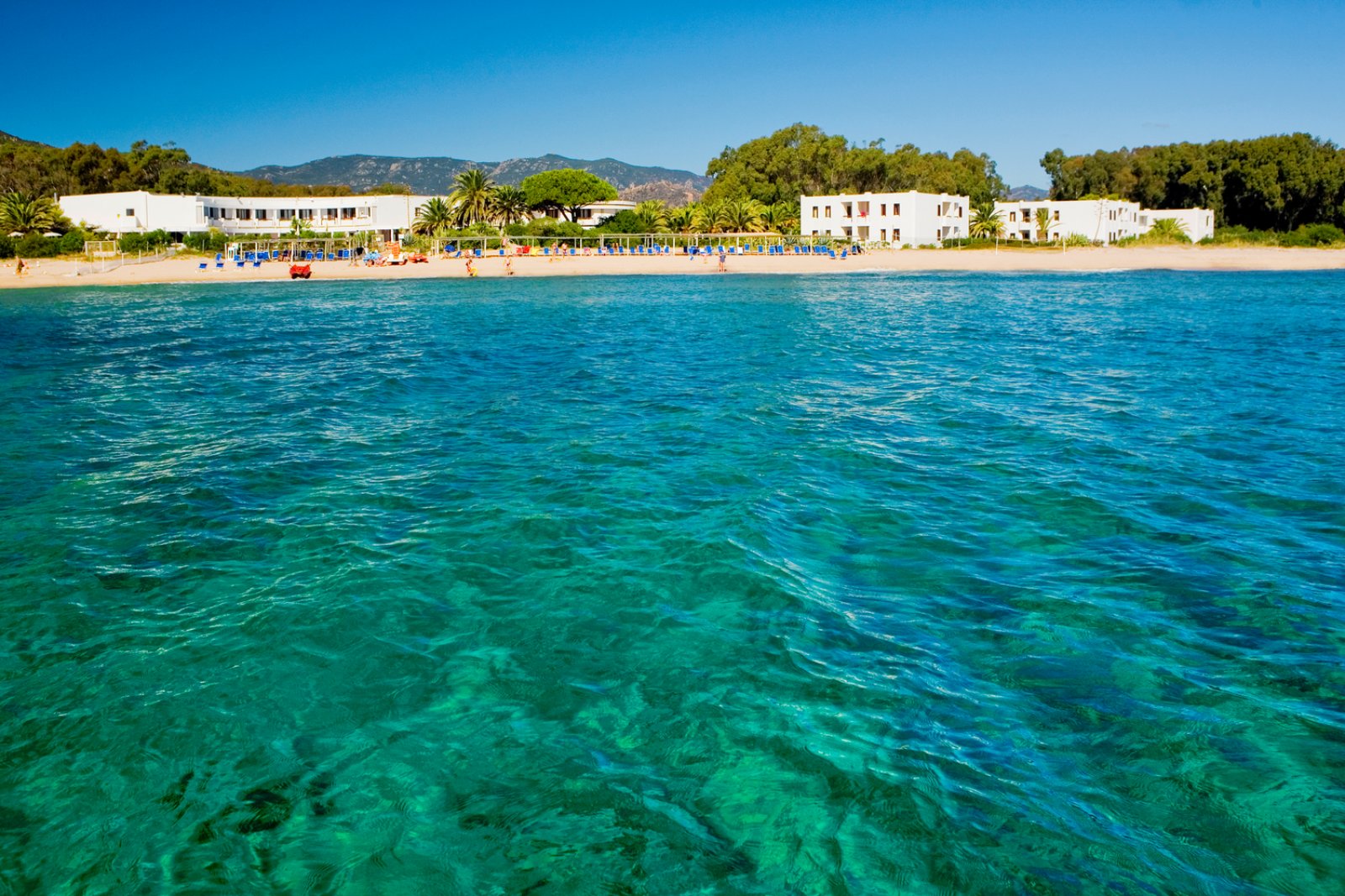 Offerte Hotel Flamingo