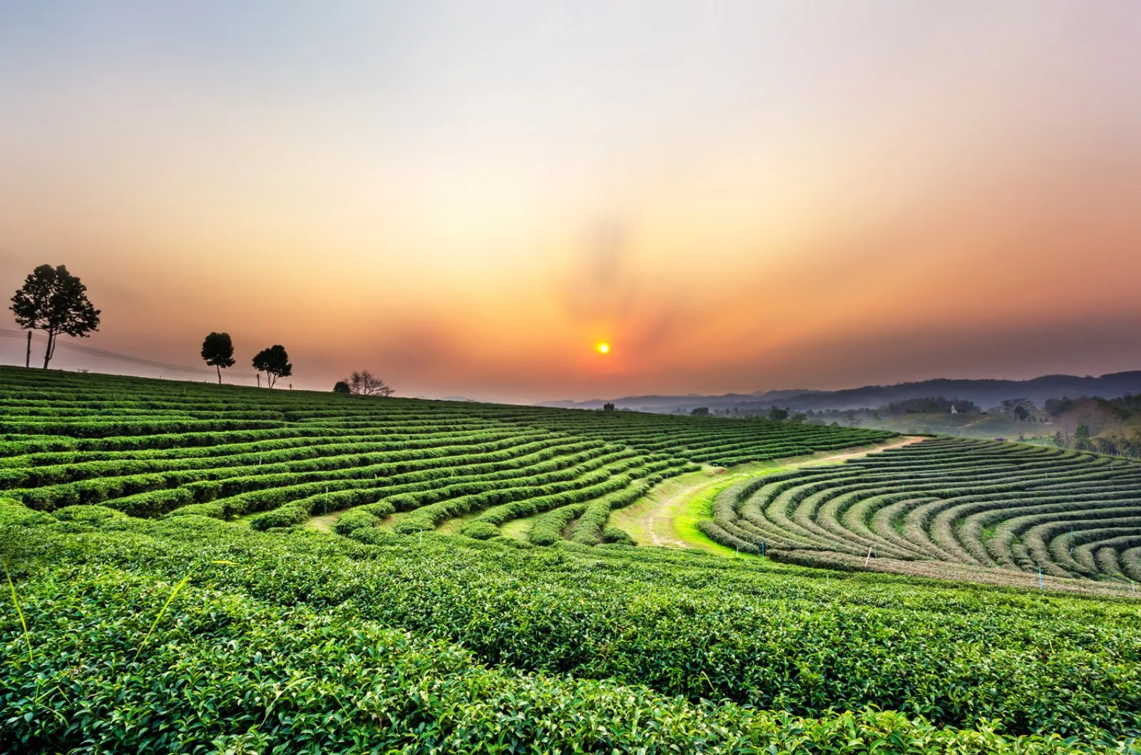 Chiang Mai - Chiang Rai - Chiang Mai