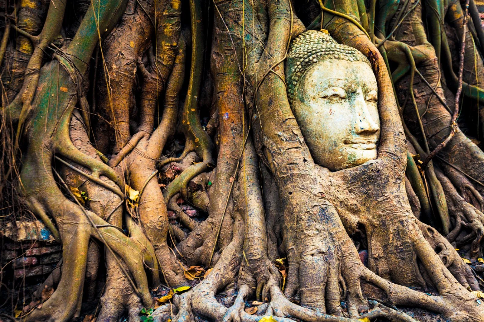 Bangkok - Ayutthaya - Phitsanulok - Sukhothai