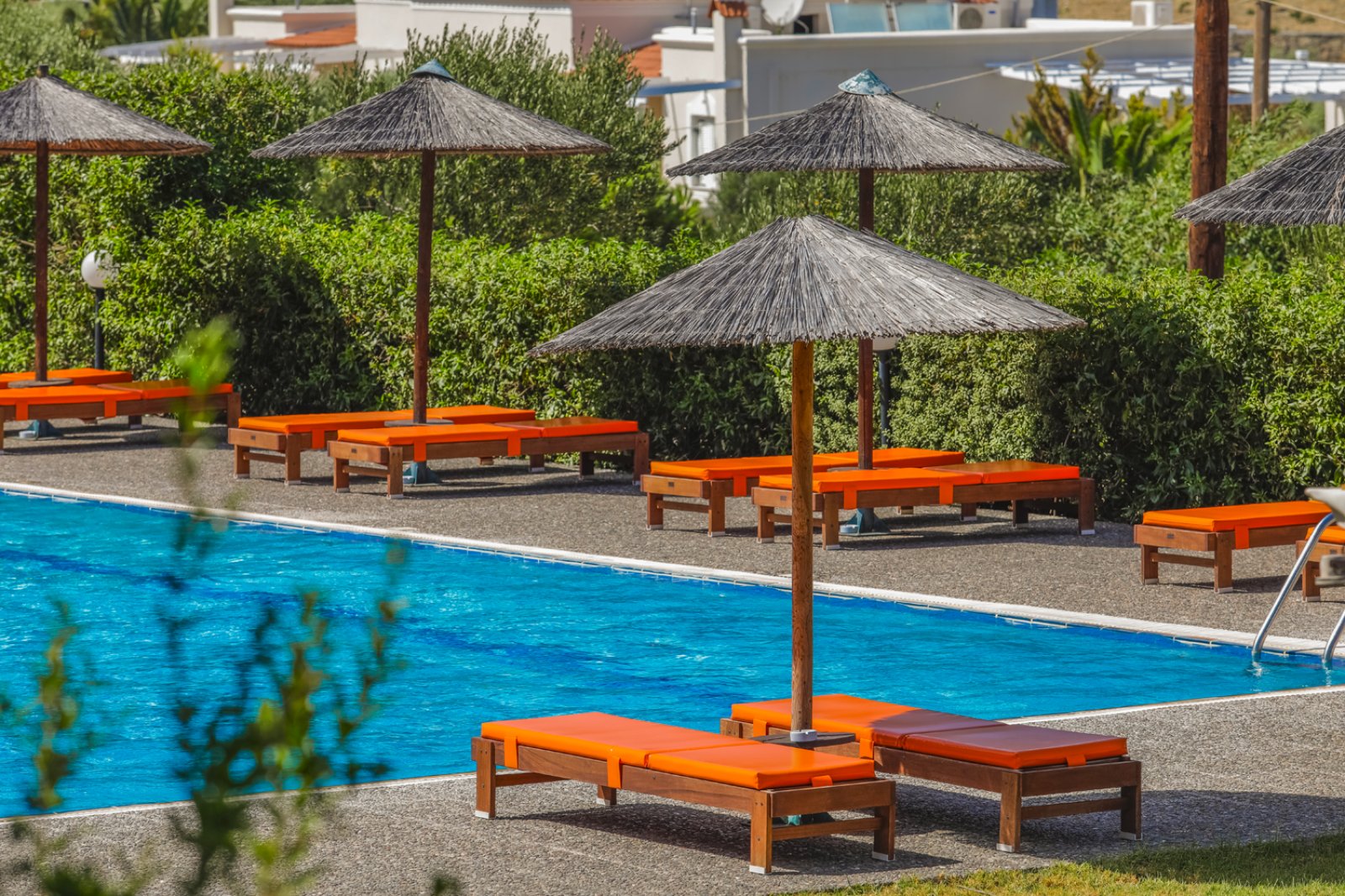 Hotel Alex - Piscina