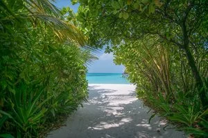 COCO PALM DHUNI KOLHU MALDIVES – Maldive