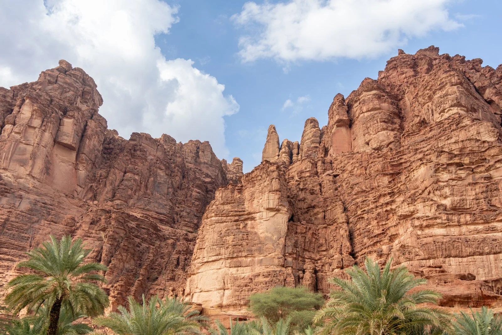 AlUla - Wadi Disah - Tabuk - Riyadh