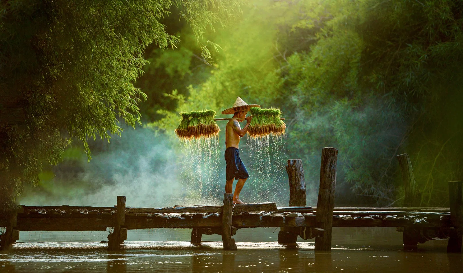 Tour Bangkok E Spiagge 