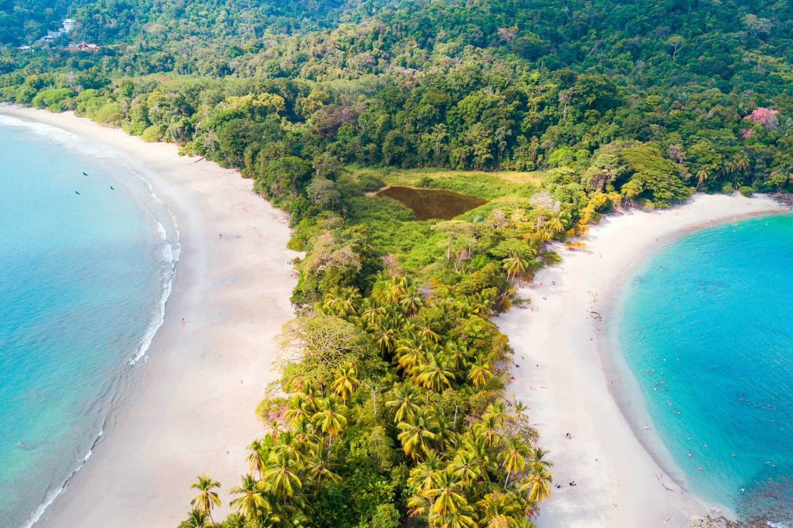 Monteverde – San Josè - Italia