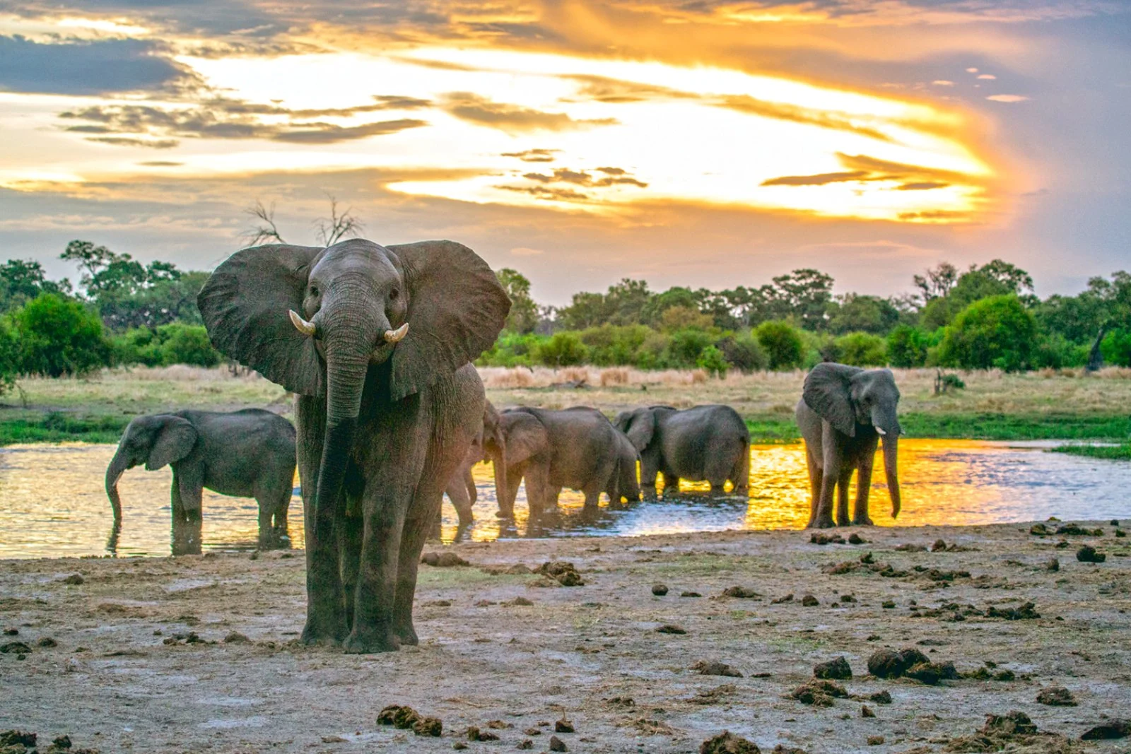 Maun - Elephant Havens - Makgadikgadi - Sleep-out