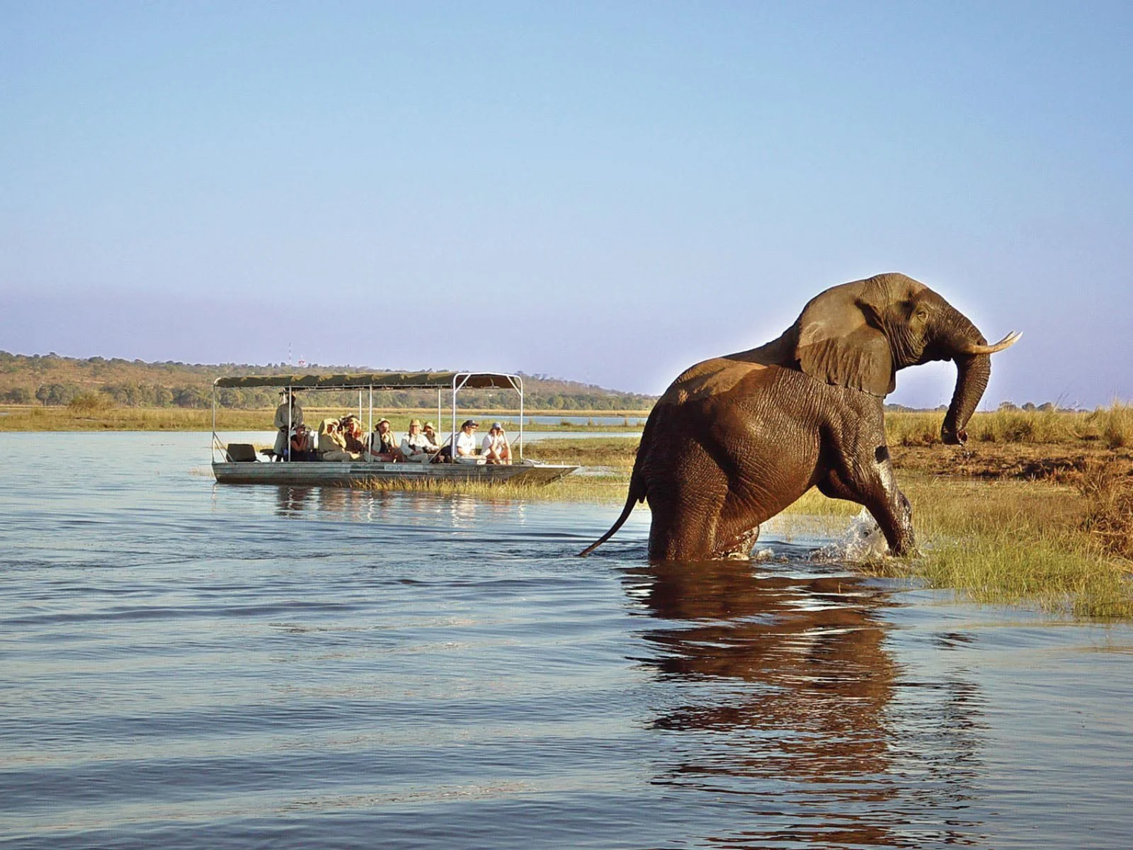 Botswana Explorer 