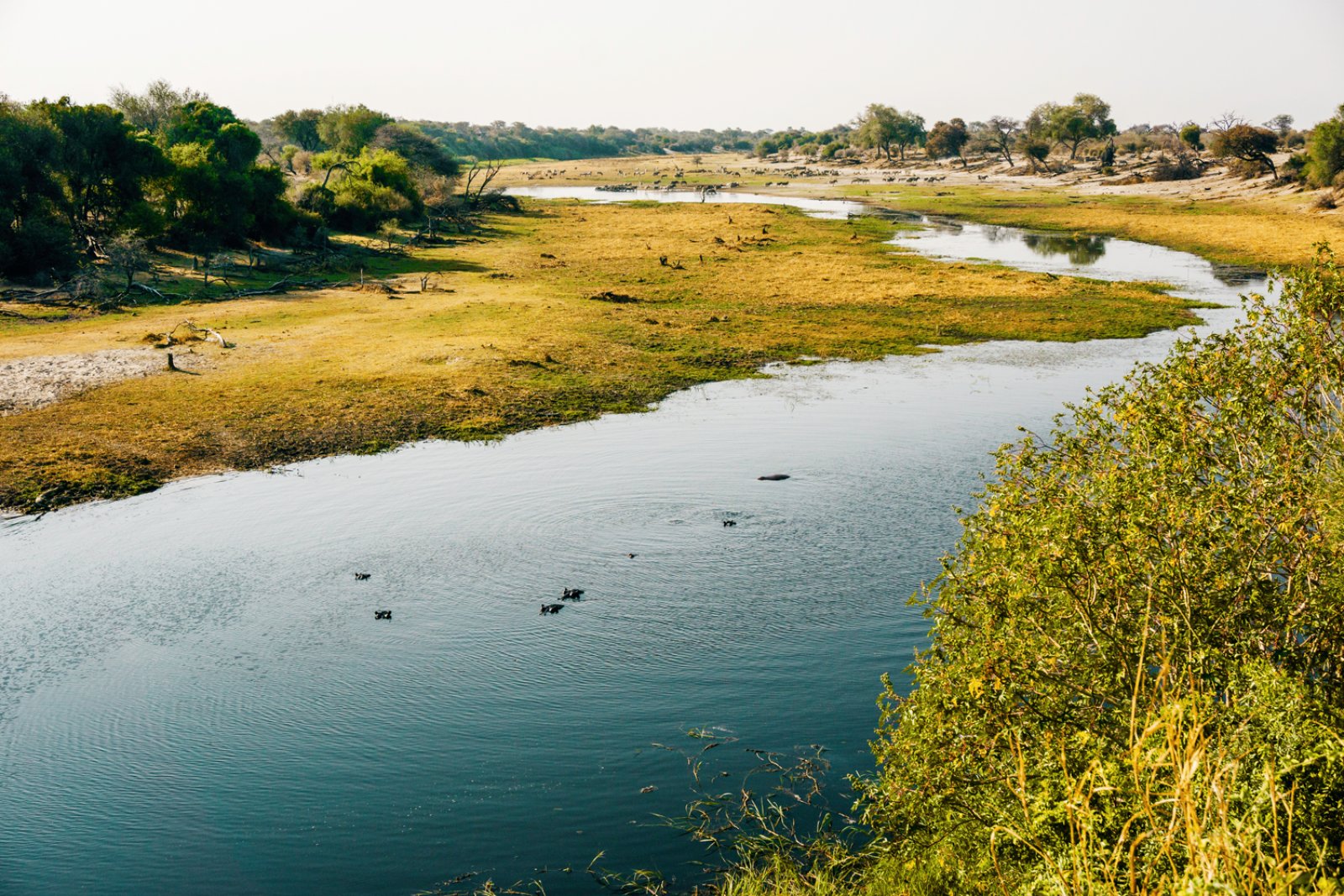 Botswana Explorer 