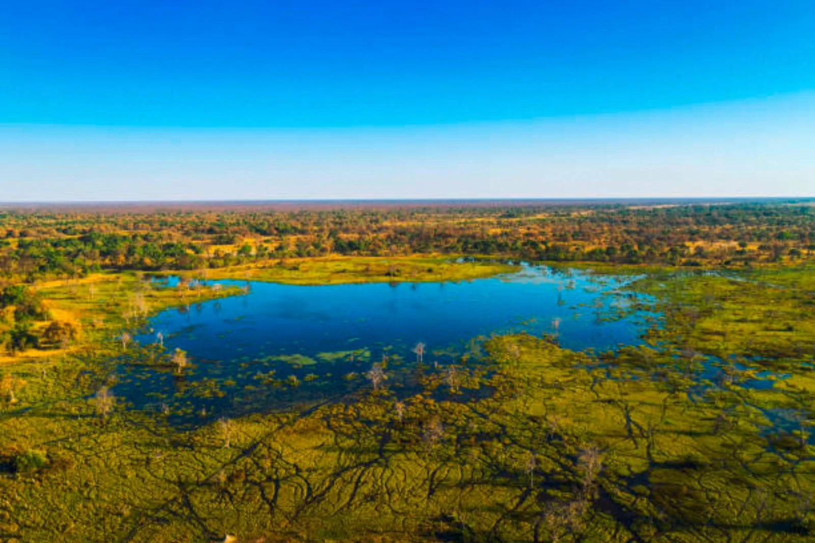 Makgadikgadi - Mobile Safari (Moremi Game Reserve)