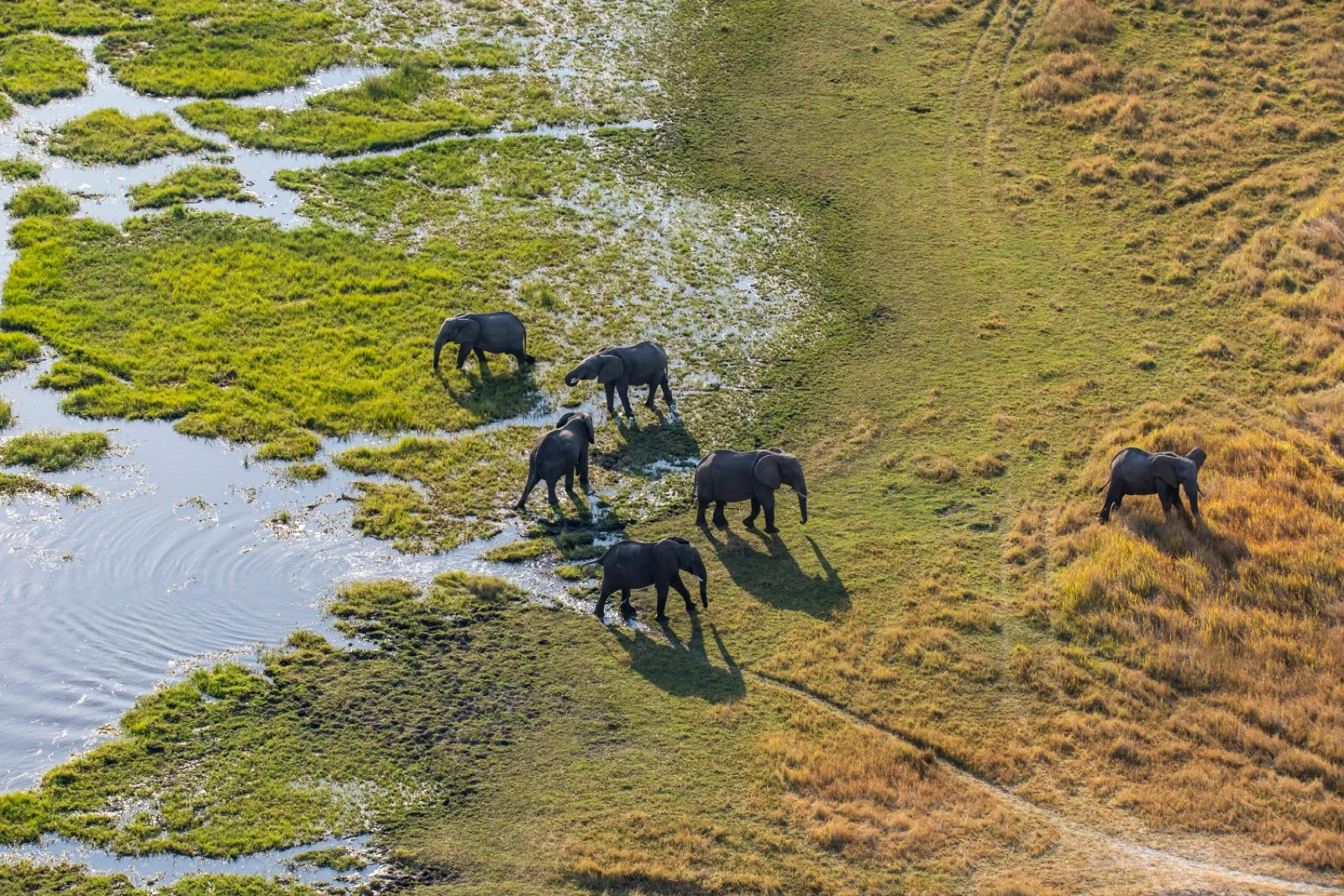 Makgadikgadi - Mobile Safari (Moremi Game Reserve)