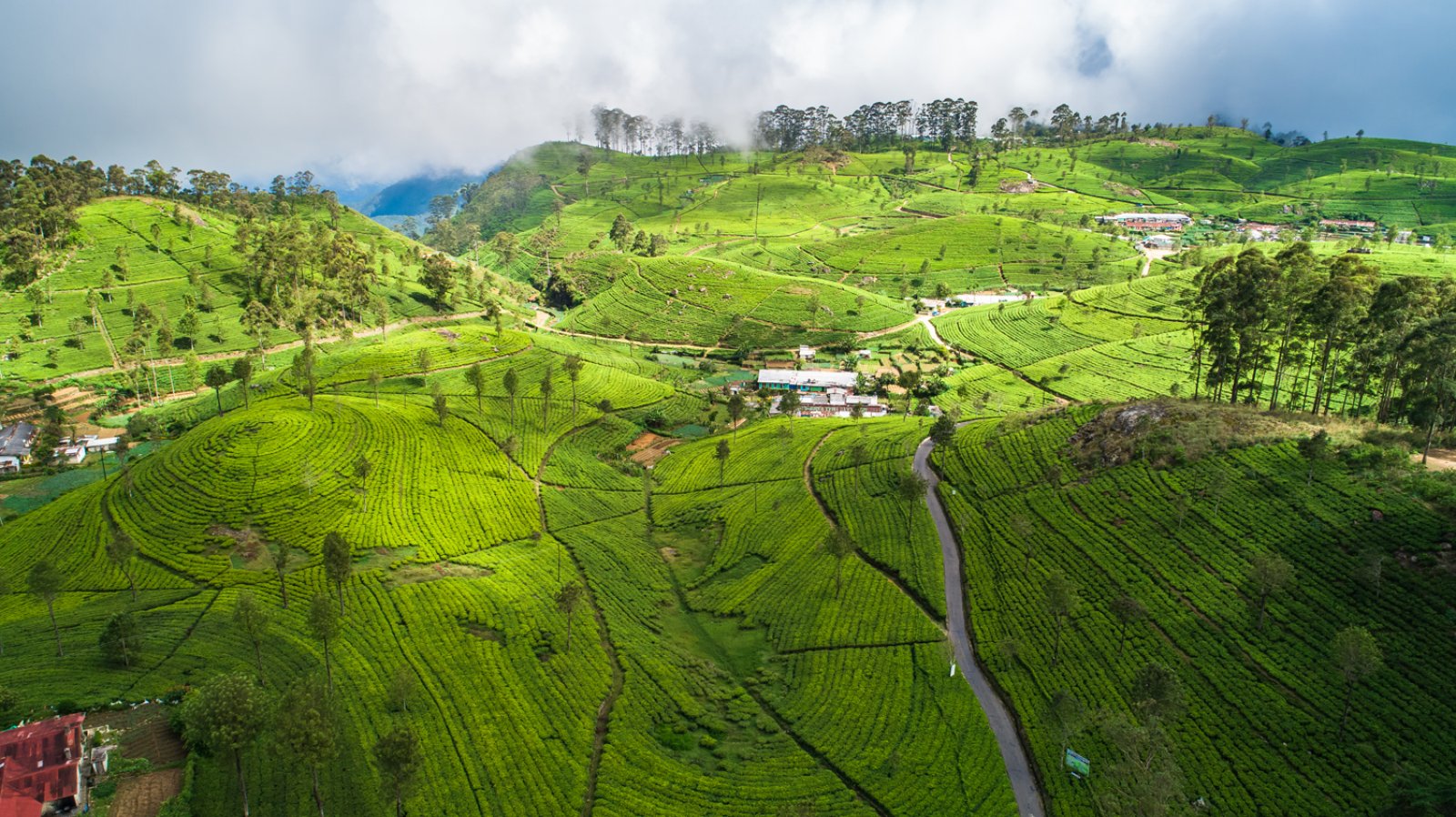 Discovery Sri Lanka - Panorama Da Lipton Seat