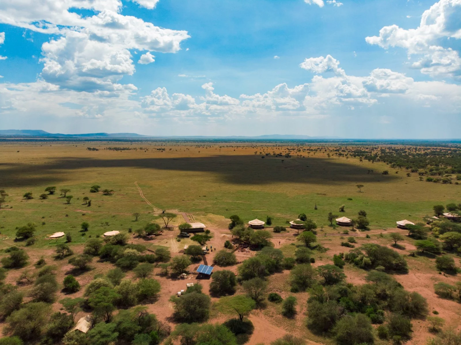 2° giorno: Stone Town – Lake Manyara NP o Tarangire NP