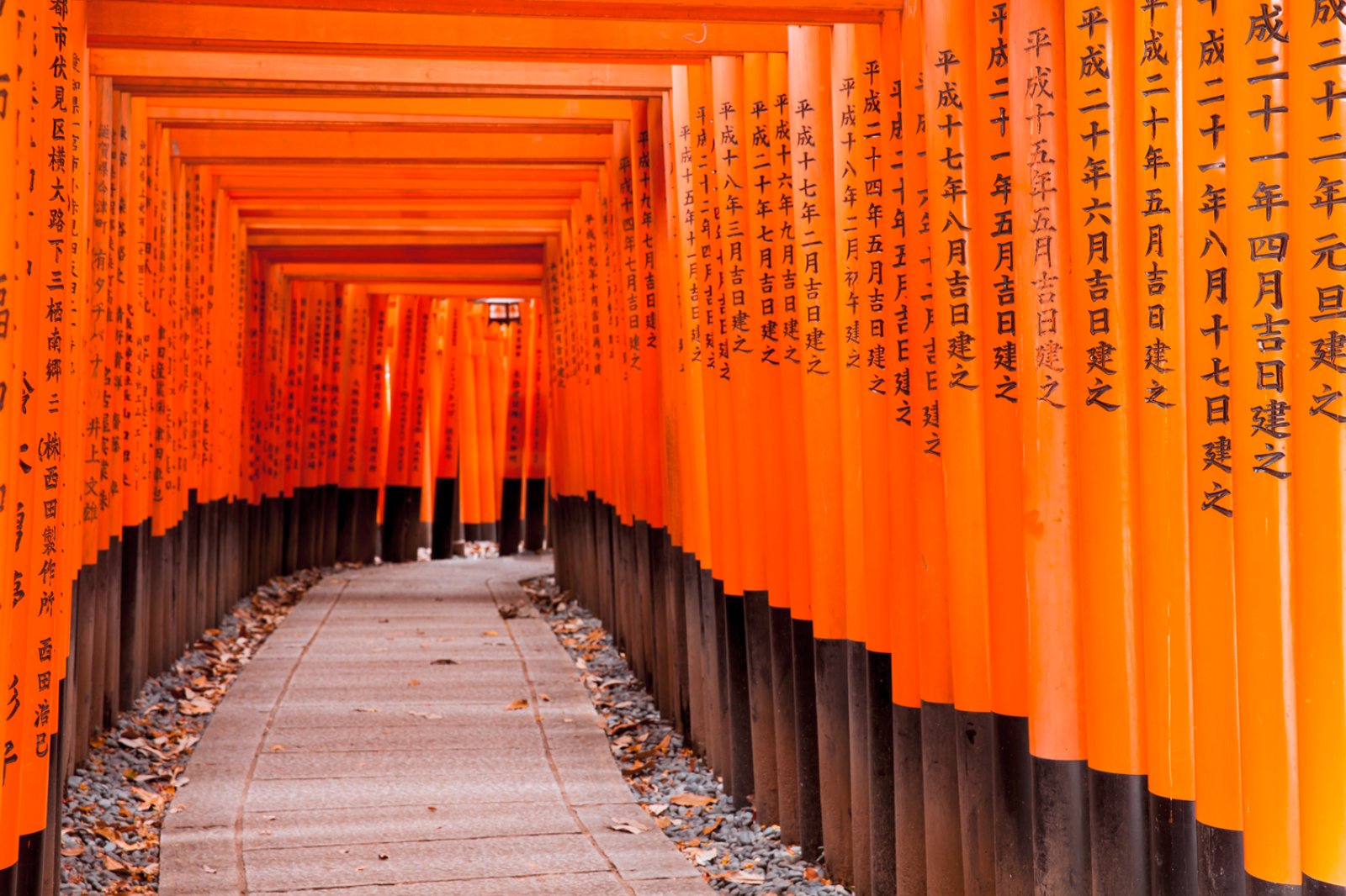 Voyager Shinto - Kyoto, Fushimi Inari Taisha Shrine