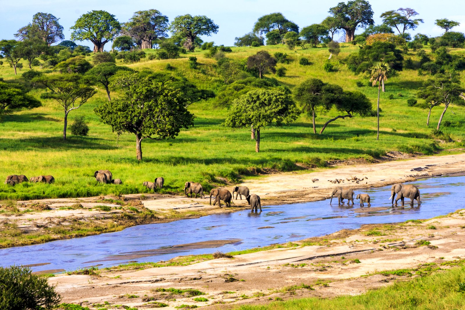 Tanzania Escape 