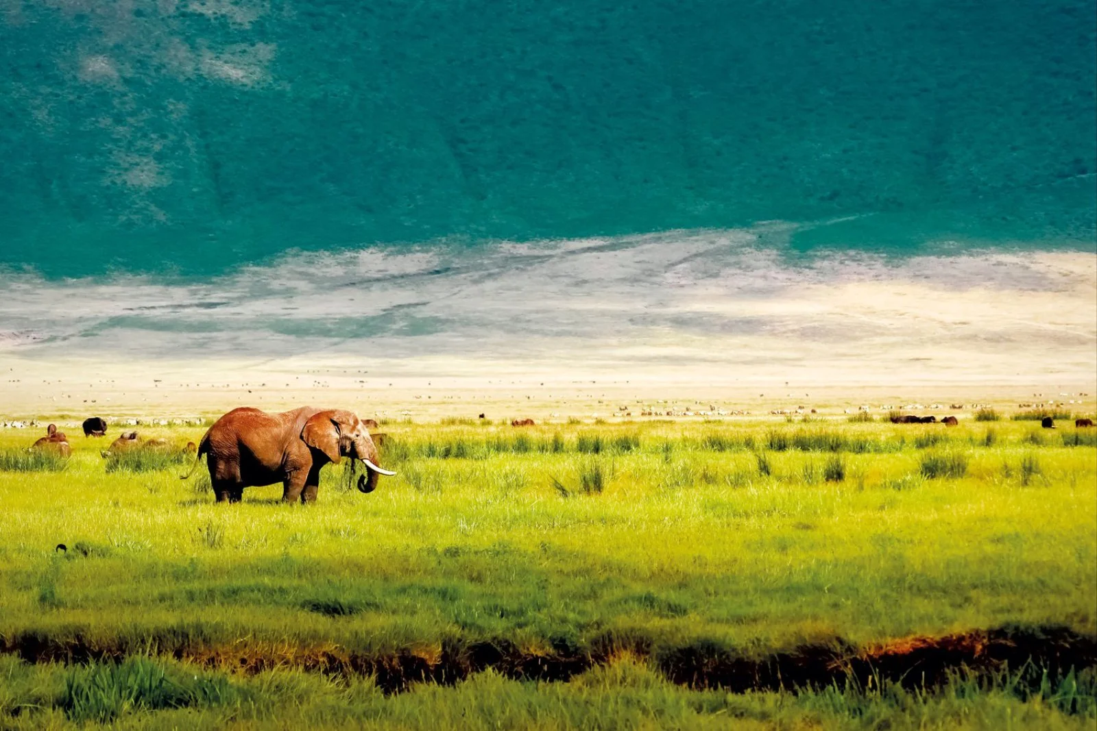 Zanzibar - Arusha City - immagine 2 di 2