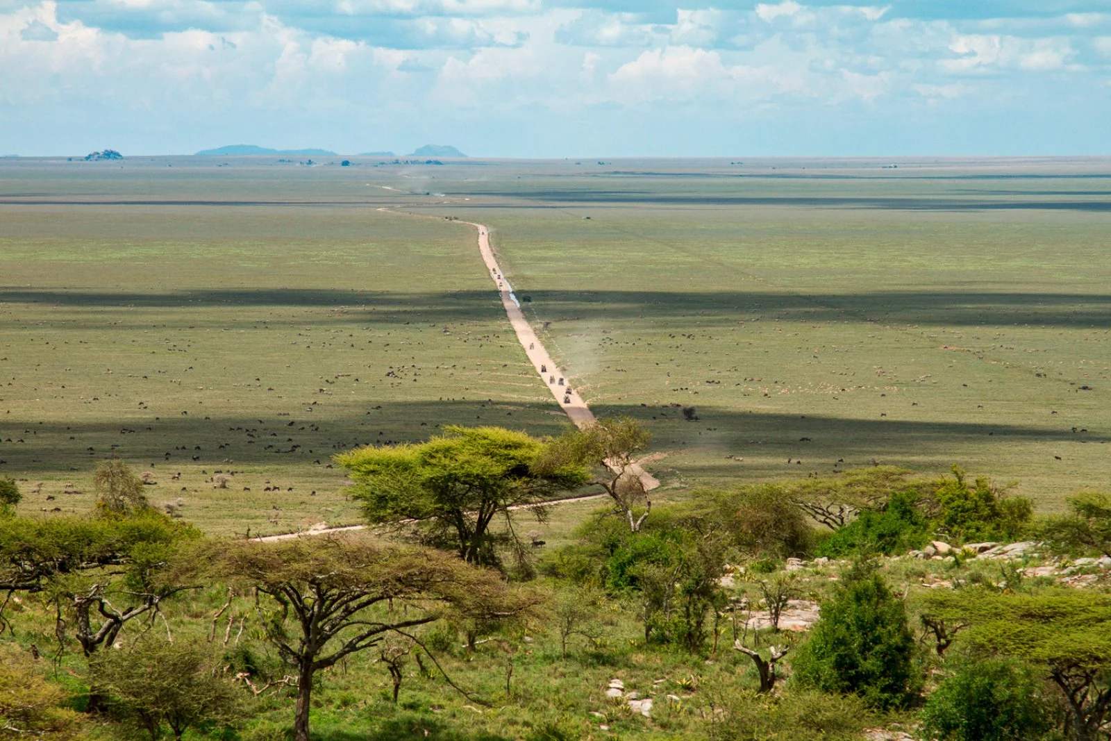 Ngorongoro - Arusha - Zanzibar