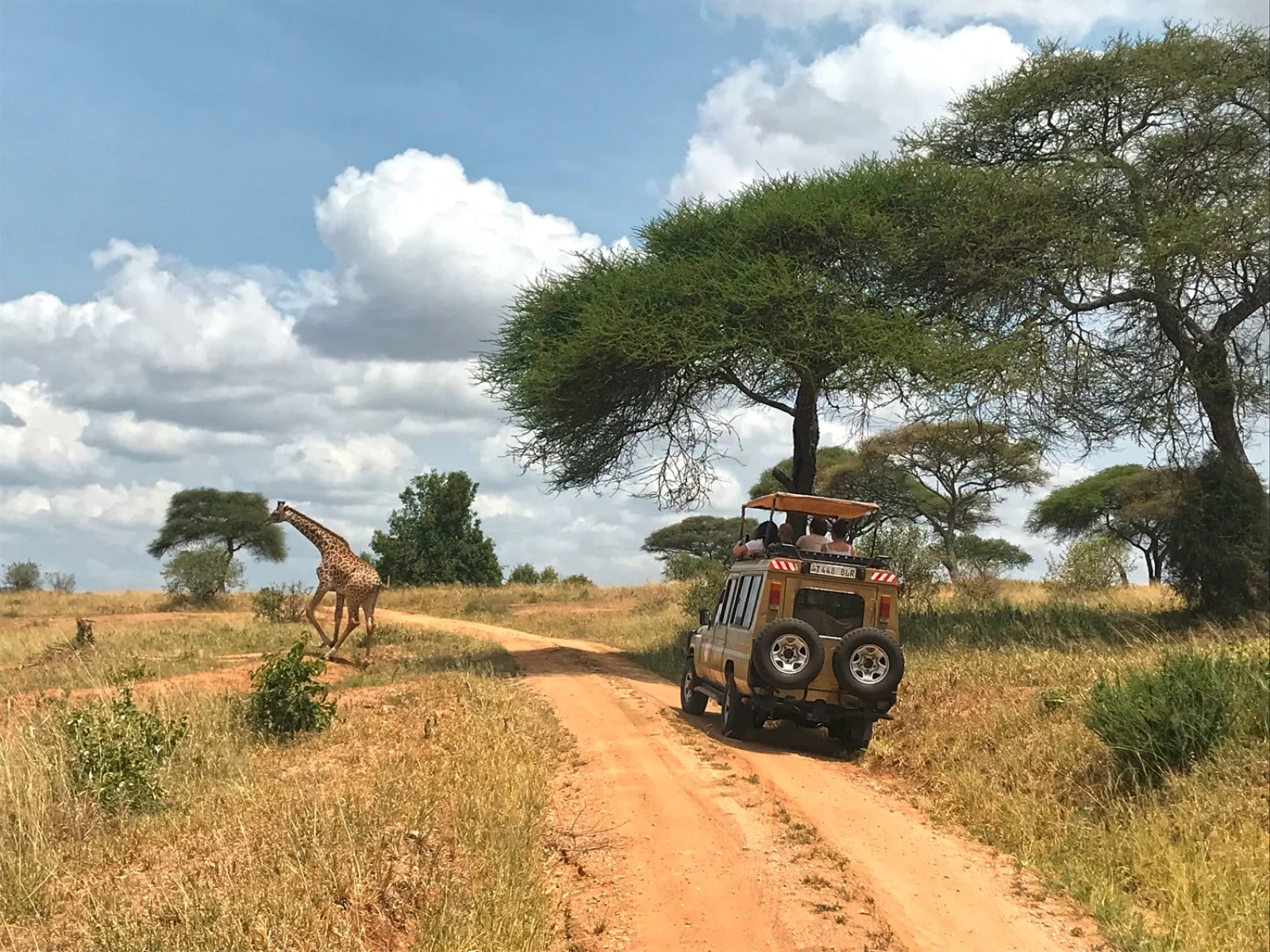 Serengeti Escape - Tarangire National Park