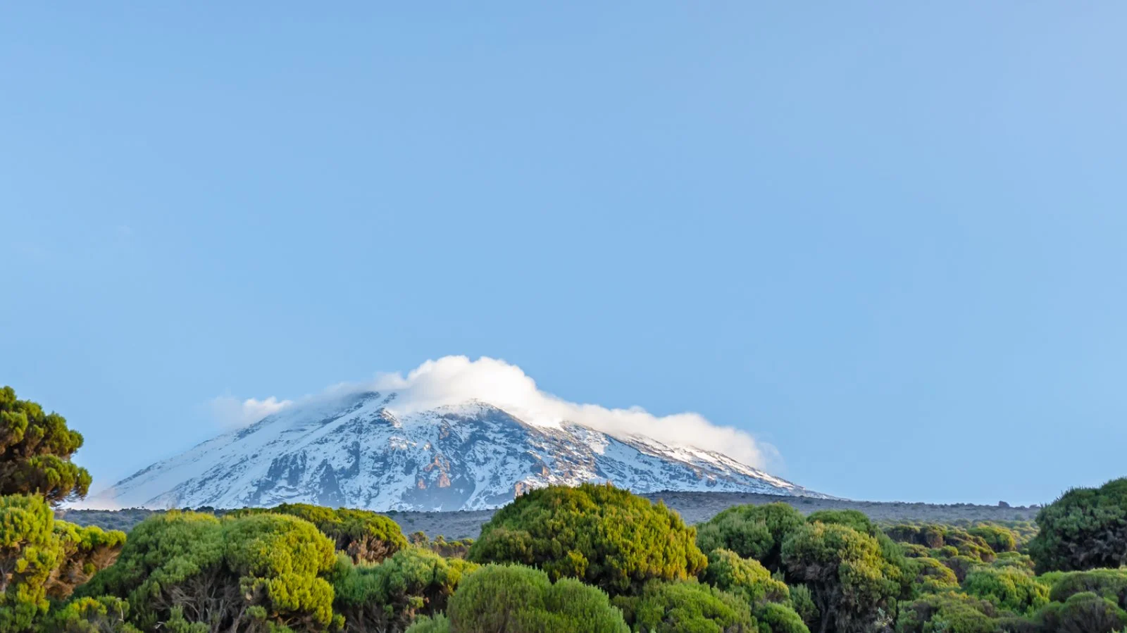 Tanzania Escape Tanzania Escape