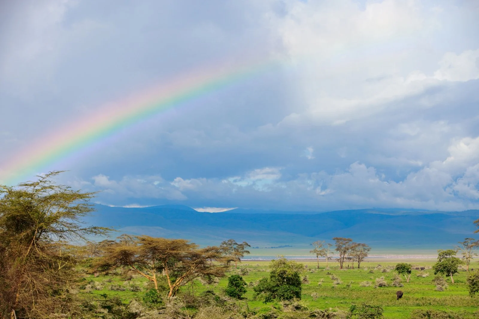 Arusha - Lago Manyara - Karatu