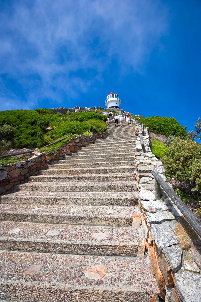 Città del Capo - Penisola del Capo - Città del Capo