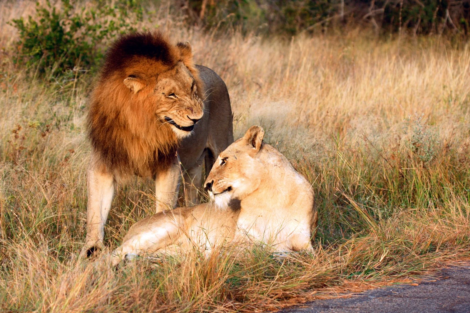 Riserva privata di Karongwe