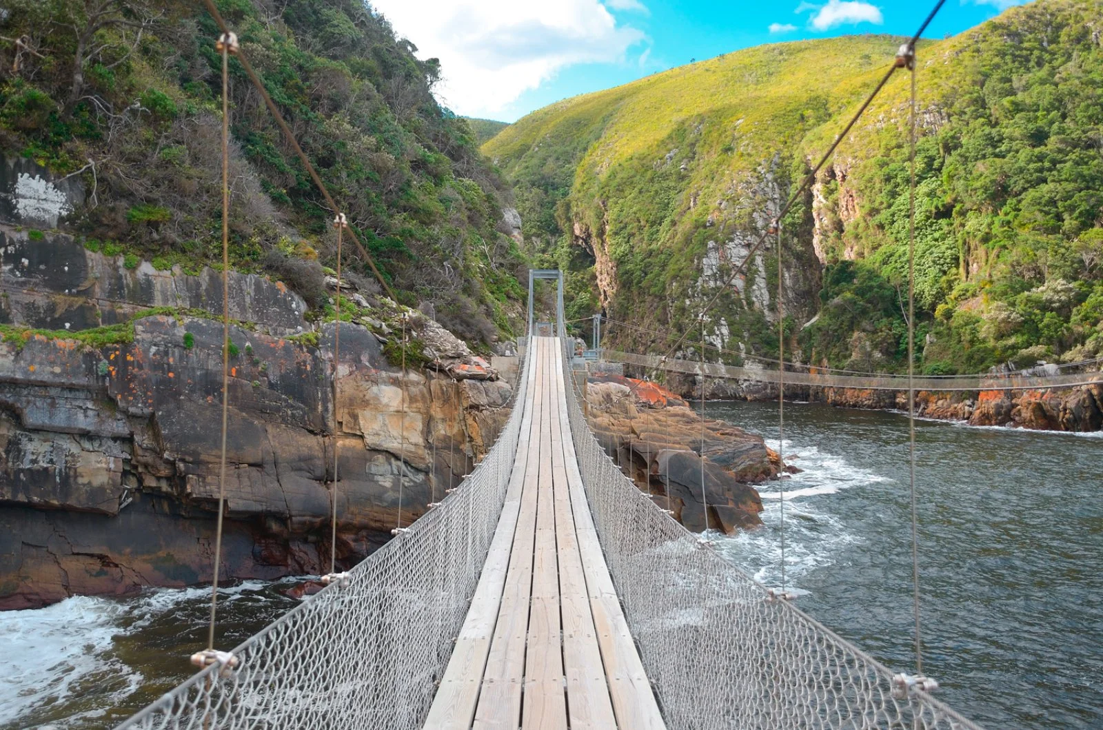 Port Elizabeth - Tsitsikamma Forest - Knysna